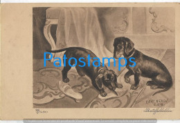 229026 ART ARTE SIGNED KNUT OEREN THE COUPLE DOG SAUSAGE PLAYING WITH A SHOE POSTAL POSTCARD - Other & Unclassified