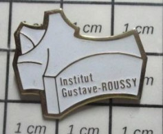 912e Pins Pin's / Rare & Belle Qualité MEDICAL / INSTITUT GUSTAVE ROUSSY Variante BLANCHE - Médical