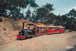 BASSIN D ARCACHON(CAP FERRET) TRAIN - Arcachon