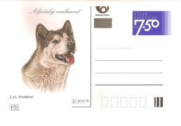 CDV B 555 (1,2) Czech Republic Malamut And Chihuahua Dogs 2006 - Honden