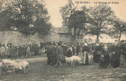 Le Blanc * 1909 * Le Champ De Foire * Marché Cochons * Villageois - Le Blanc