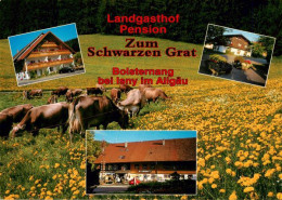 73946187 Bolsternang Landgasthof Pension Zum Schwarzen Grat Sommeridylle Viehwei - Sonstige & Ohne Zuordnung