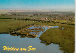 73945991 Weiden_See Neusiedlersee - Other & Unclassified