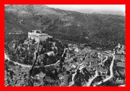 2 CPSM/gf (66) CASTELNOU. Vue Générale Du Château Et Des Fortifications / Porte D'entrée Du Village Fortifié. *3736 - Autres & Non Classés