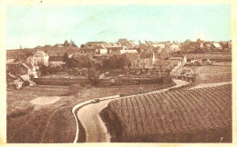 CHAUDEFONDS - Les Coteaux Vignobles Route De Chalonnes Sur Loire Au Village D'Ardelay - Sonstige & Ohne Zuordnung