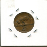 2 CENTS 1966 SÜDAFRIKA SOUTH AFRICA Münze #AS280.D.A - Afrique Du Sud