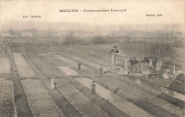 Brezins * 1907 * Cressonnière LAURENT * Métier Industrie Entreprise * Villageois - Other & Unclassified