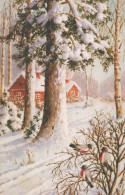 Bonne Année Noël OISEAU Vintage Carte Postale CPA #PKE854.A - Neujahr