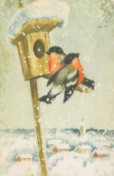 Happy New Year Christmas BIRD Vintage Postcard CPA #PKE831.A - Neujahr
