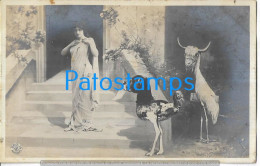 229043 REAL PHOTO WOMAN DOG AND BULL WITH THE BODY OF A BIRD RARE POSTAL POSTCARD - Photographie