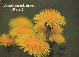 FLOWERS Vintage Postcard CPSM #PBZ479.A - Blumen