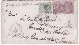 Ireland Cover Dublin To Chartres Gourdez France 1881 - Prephilately