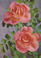 FIORI Vintage Cartolina CPSM #PAS141.A - Fleurs