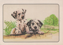 CHIEN Animaux Vintage Carte Postale CPSM #PAN665.A - Chiens