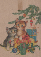 CAT KITTY Animals Vintage Postcard CPSM #PAM601.A - Katzen