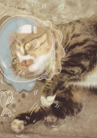 KATZE MIEZEKATZE Tier Vintage Ansichtskarte Postkarte CPSM #PAM390.A - Chats