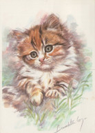 GATO GATITO Animales Vintage Tarjeta Postal CPSM #PAM267.A - Chats