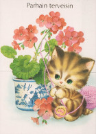 GATO GATITO Animales Vintage Tarjeta Postal CPSM Unposted #PAM237.A - Chats