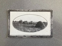 Haymaking Darling Downs Queensland Carte Postale Postcard - Autres & Non Classés