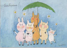 PIGS Animals Vintage Postcard CPSM #PBR739.A - Varkens