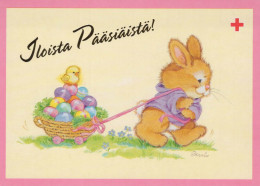 PASQUA CONIGLIO Vintage Cartolina CPSM #PBO563.A - Ostern