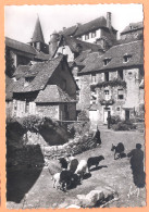 Ppgf/ CPSM Grand Format - AVEYRON - ESTAING - RUE DU PONT - Animation, Troupeau Brebis Et Chèvres - Autres & Non Classés