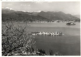 - Lago Maggiore - Isola Pescatori - Le Lac Majeur - L'île Des Pêcheurs - Scan Verso - - Andere & Zonder Classificatie