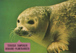 GUARNIZIONE Animale Vintage Cartolina CPSM #PBS647.A - Sonstige & Ohne Zuordnung
