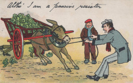 DONKEY Animals Vintage Antique Old CPA Postcard #PAA300.A - Esel