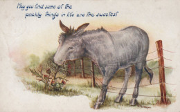 DONKEY Animals Vintage Antique Old CPA Postcard #PAA131.A - Anes