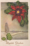 FLOWERS Vintage Ansichtskarte Postkarte CPSMPF #PKG023.A - Blumen