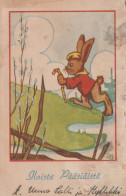 PÂQUES ŒUF LAPIN Vintage Carte Postale CPA #PKE199.A - Ostern