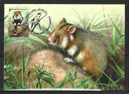 BIELORUSSIE. N°1182 De 2021 Sur Carte Maximum. Hamster. - Roedores