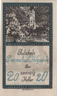 20 HELLER 1920 Stadt HOFGASTEIN Salzburg Österreich Notgeld Banknote #PD626 - [11] Emissions Locales