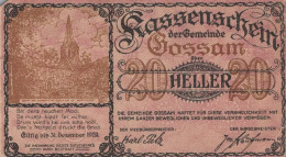 20 HELLER 1920 Stadt GOSSAM Niedrigeren Österreich Notgeld Banknote #PE914 - Lokale Ausgaben