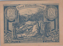 20 Heller 1920 Stadt Federal State Of Niedrigeren Österreich #PE429 - Lokale Ausgaben