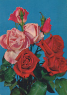 FLOWERS Vintage Postcard CPSM #PAS586.GB - Bloemen