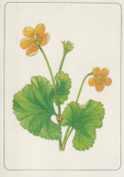FLOWERS Vintage Postcard CPSM #PAR502.GB - Blumen