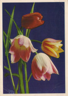 FLOWERS Vintage Postcard CPSM #PAR442.GB - Fleurs