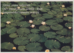FLOWERS Vintage Postcard CPSM #PAR261.GB - Bloemen