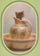 CAT KITTY Animals Vintage Postcard CPSM #PAM183.GB - Katzen
