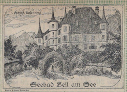 20 HELLER 1920 Stadt ZELL AM SEE Salzburg Österreich Notgeld Banknote #PE113 - Lokale Ausgaben