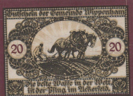 20 HELLER 1920 Stadt WIPPENHAM Oberösterreich Österreich Notgeld Banknote #PE057 - [11] Lokale Uitgaven