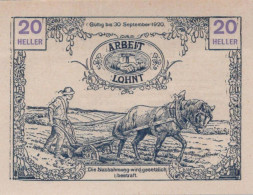 20 HELLER 1920 Stadt TAUSENDBLUM Niedrigeren Österreich UNC Österreich Notgeld #PH439 - Lokale Ausgaben