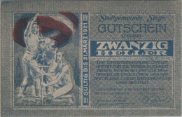 20 HELLER 1920 Stadt STEYR Oberösterreich Österreich Notgeld Banknote #PI172 - Lokale Ausgaben