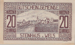 20 HELLER 1920 Stadt STEINHAUS BEI WELS Oberösterreich Österreich Notgeld Papiergeld Banknote #PG702 - Lokale Ausgaben