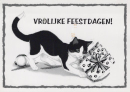 CHAT CHAT Animaux Vintage Carte Postale CPSM #PAM626.FR - Katzen