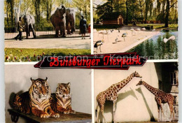 73866060 Duisburg  Ruhr Tierpark Duisburg Flamingos Elefanten Giraffen Tiger  - Duisburg