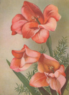 FLOWERS Vintage Postcard CPA #PKE686.GB - Fleurs