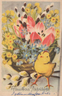 EASTER CHICKEN EGG Vintage Postcard CPA #PKE436.GB - Pâques